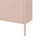 Mission District 3 Door Shoe Storage - Pale Pink