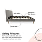 Daphne Upholstered Bed - Light Gray - Full