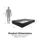 Maven Upholstered Bed with Modern Low Profile Design - Black - Full