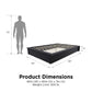 Maven Upholstered Bed with Modern Low Profile Design - Black - Queen