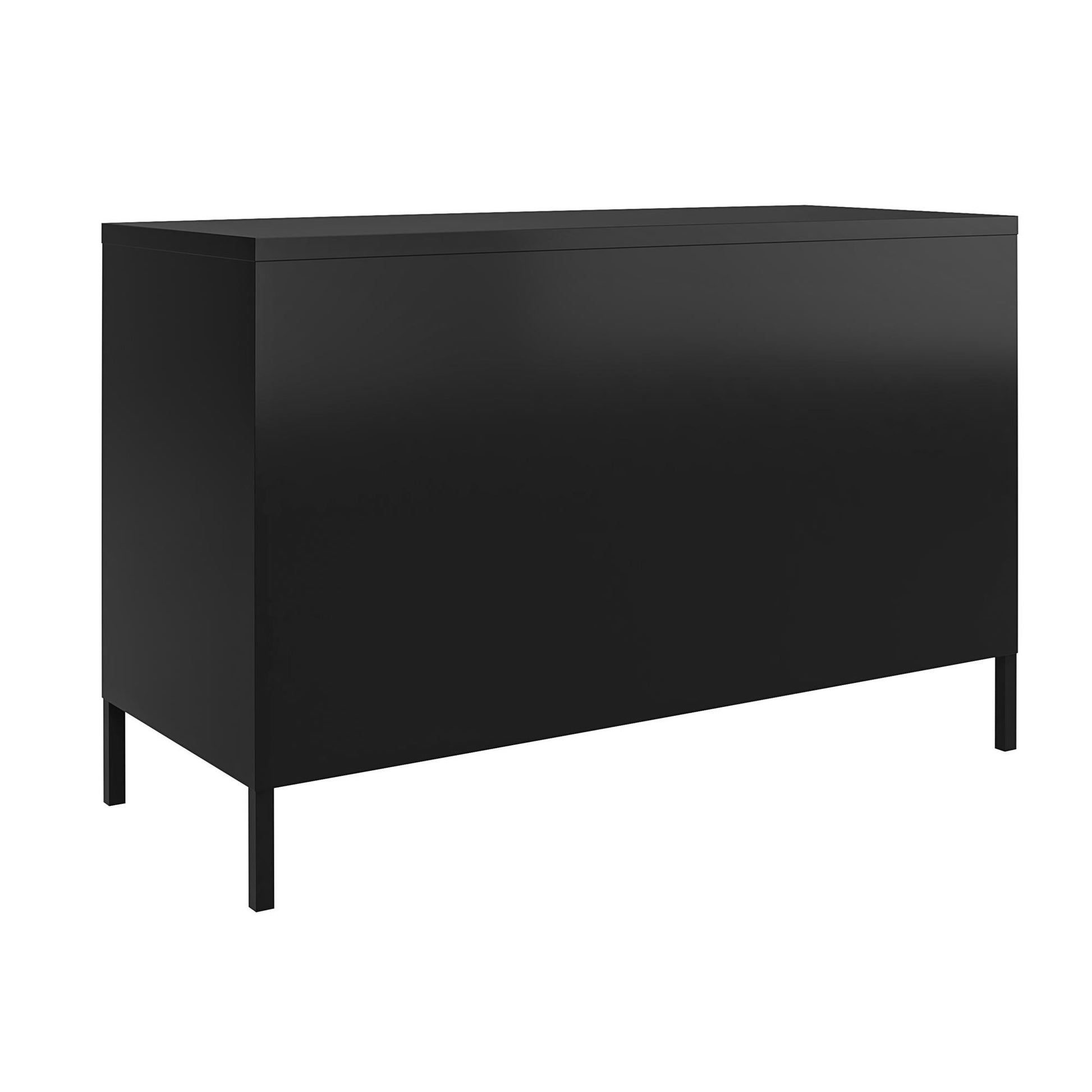 Shadwick 2 Door Metal Locker Accent Cabinet with 2 Shelves - Black