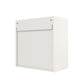 Basin 24 Inch 2 Door Wall Storage Cabinet  - White