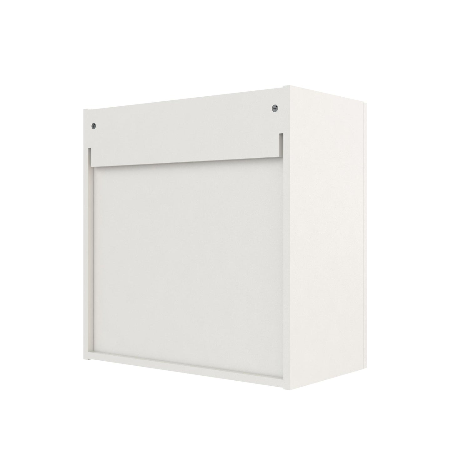 Basin 24 Inch 2 Door Wall Storage Cabinet  - White