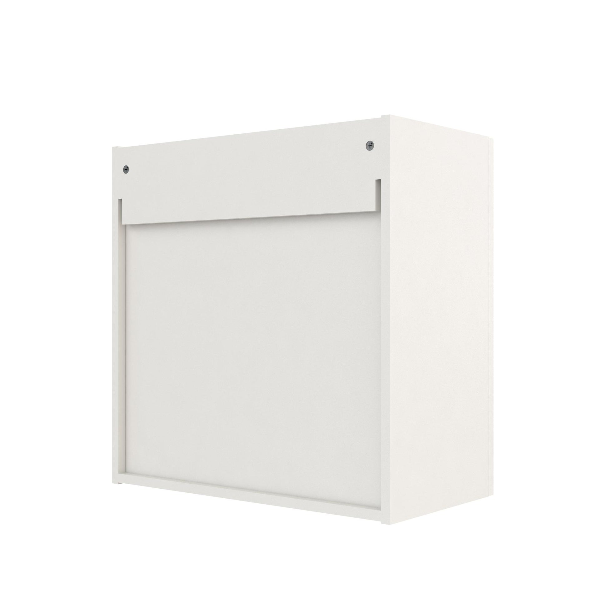 Basin 24 Inch 2 Door Wall Storage Cabinet  - White