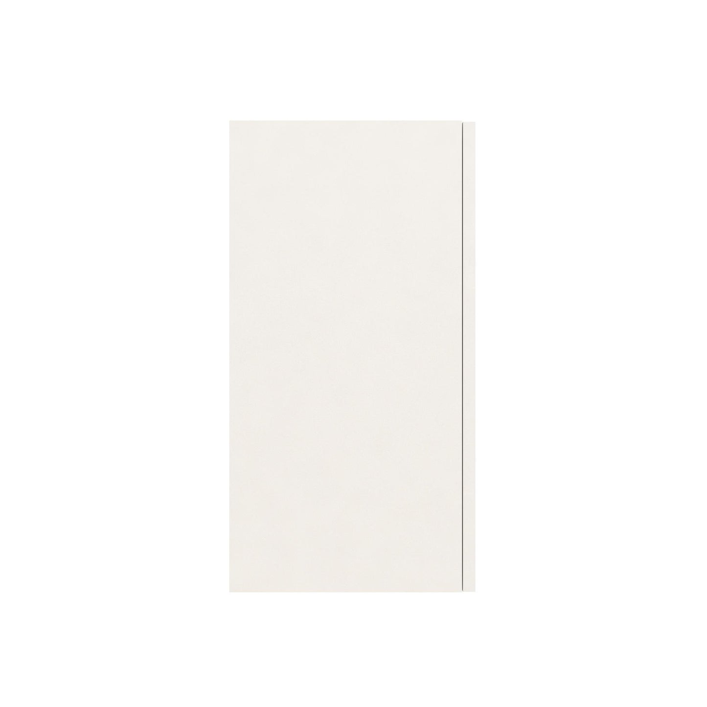 Basin 24 Inch 2 Door Wall Storage Cabinet  - White