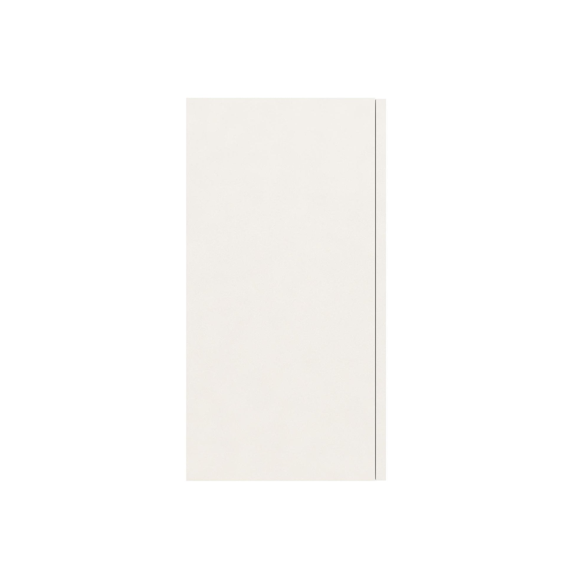 Basin 24 Inch 2 Door Wall Storage Cabinet  - White