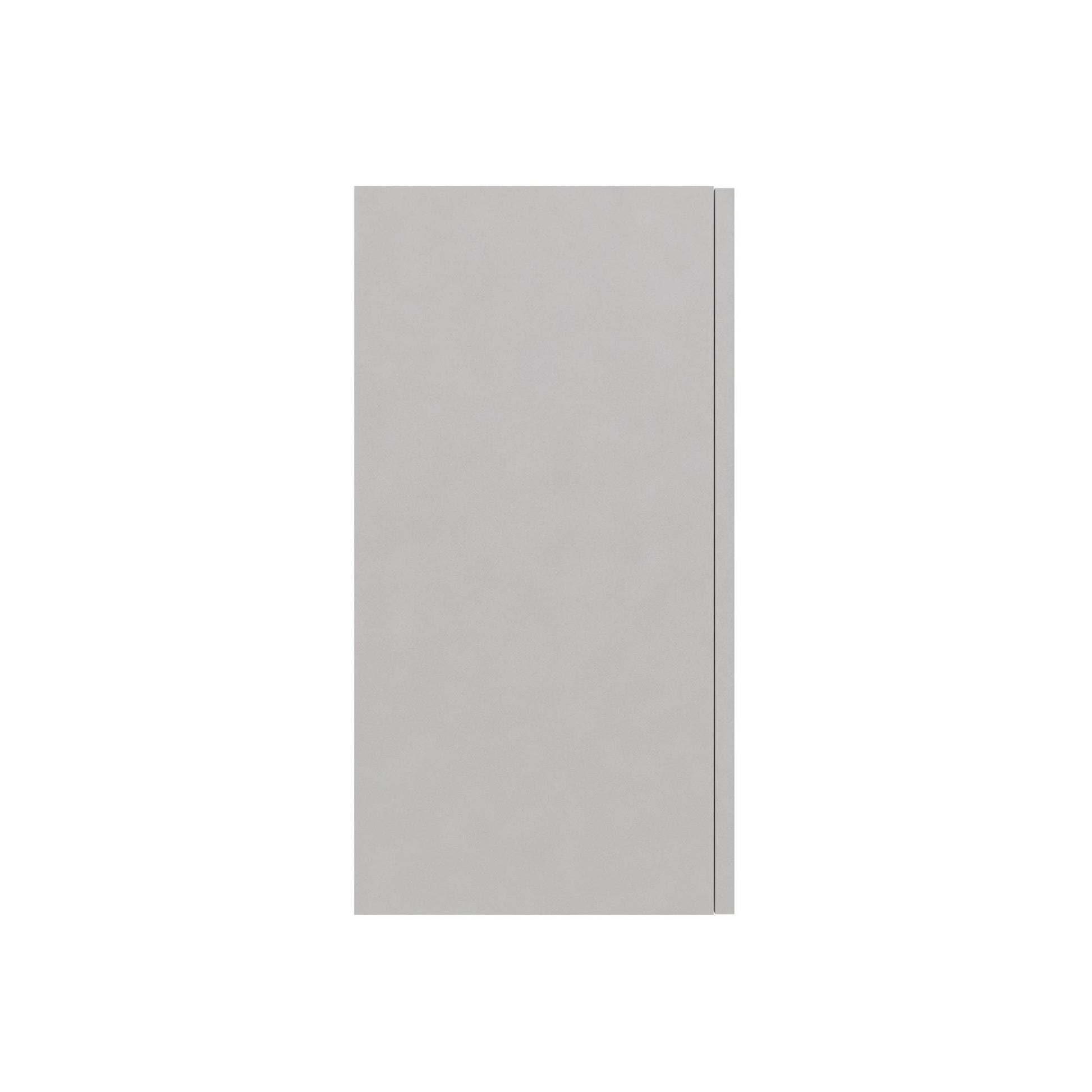 Basin 24 Inch 2 Door Wall Storage Cabinet  - Dove Gray