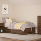 Twin Platform Bed with 2 Large Storage Drawers and No Box Spring Required - Florence Walnut - Twin