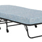 Levy Folding Guest Bed with Metal Frame and 4 Inch Mattress - Black - Twin