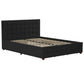 Elizabeth Upholstered Bed with Storage - Black - Queen