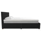 Elizabeth Upholstered Bed with Storage - Black - Queen