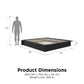 Alden Contemporary Upholstered Platform Bed with Slats - Black - King