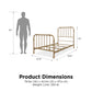 Monarch Hill Wren Metal Bed with Curved Scrollwork Design - Gold - Twin