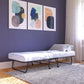 Levy Folding Guest Bed with Metal Frame and 4 Inch Mattress - Black - Twin